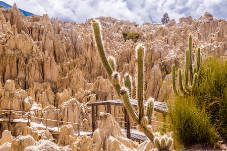 Saguaro National Park: Desert Hikes Among Towering Cacti